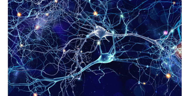 neuromusculaire.png