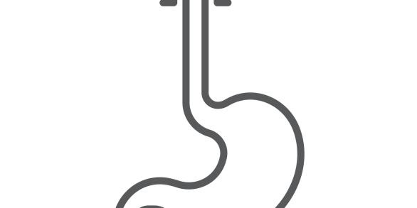 oesophage