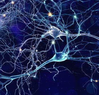 neuromusculaire