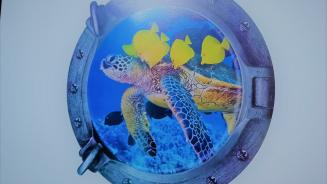 prelevenents_turtle_2.jpg