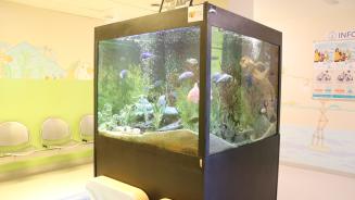 aquarium