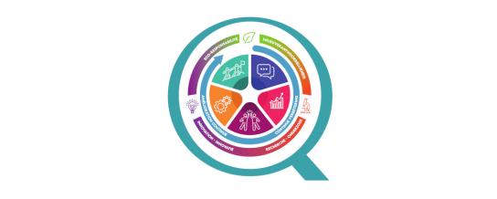 Logigramme du département qualité de l'H.U.B