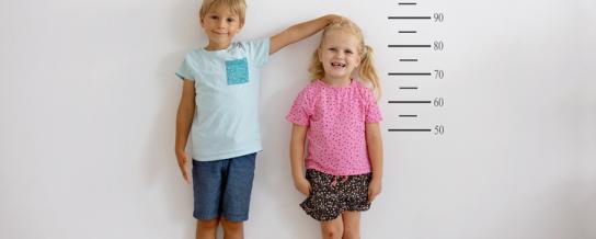 croissance_taille.jpg