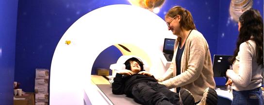 irm simulation