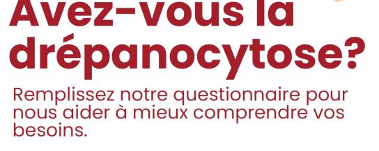 questionnaire_drepano.jpg