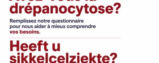 questionnaire_drepano.jpg